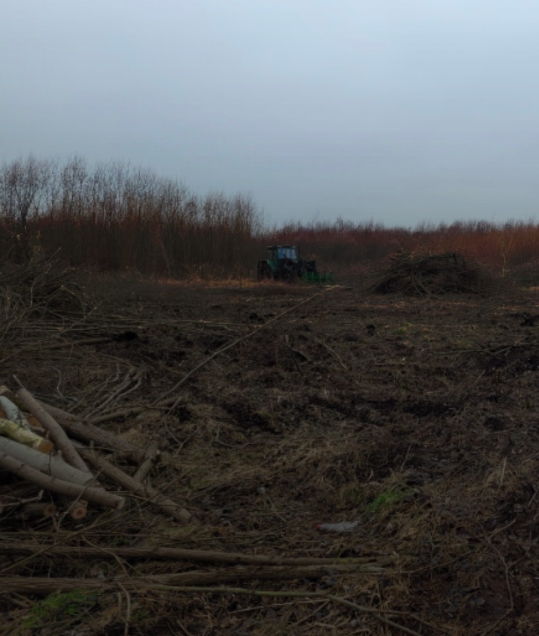 wycinka terenów pod inwestycje