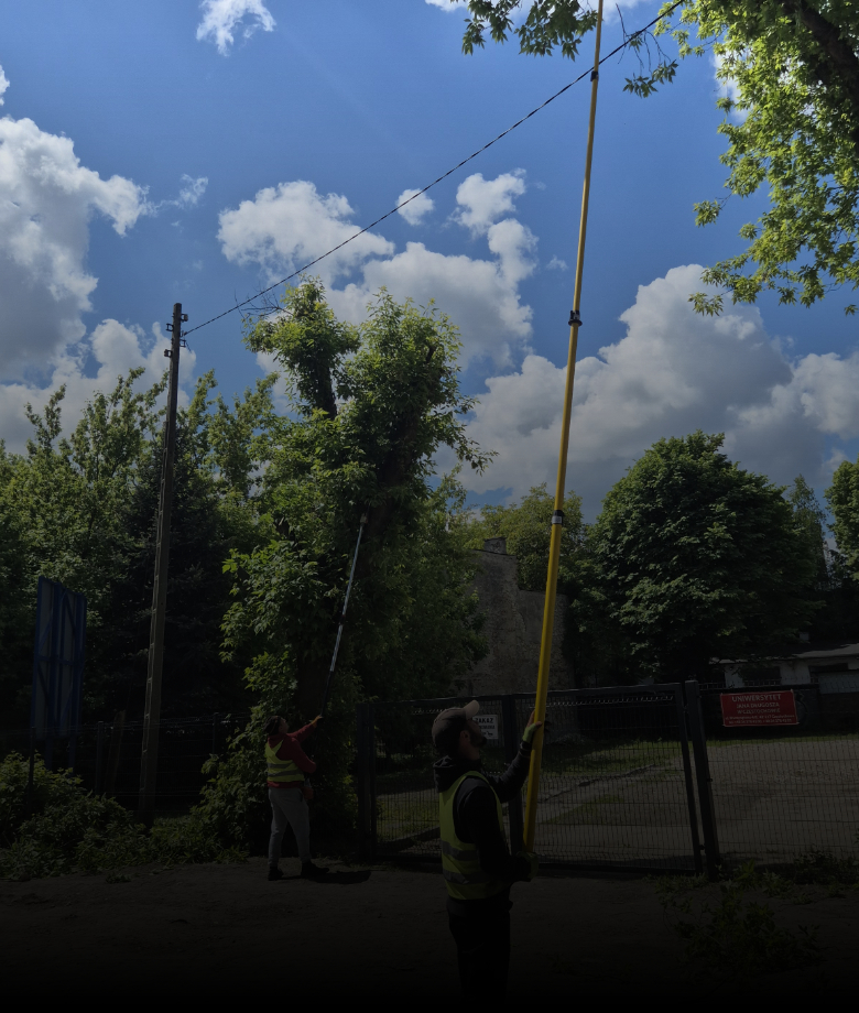 pielegnacja i przycinanie drzew