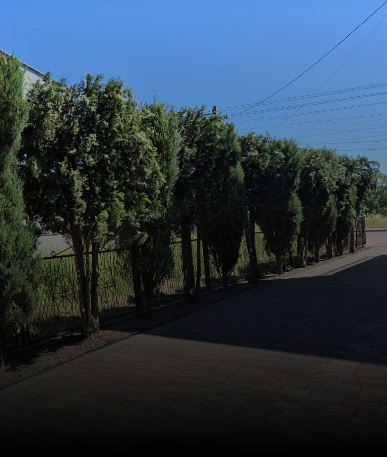 pielęgnacja zieleni